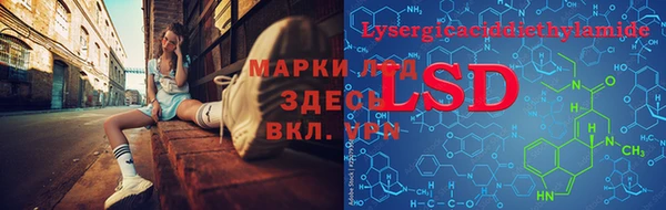 спиды Верея