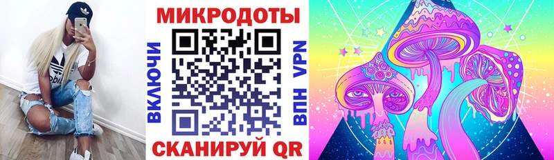 Псилоцибиновые грибы Psilocybine cubensis  Вичуга 